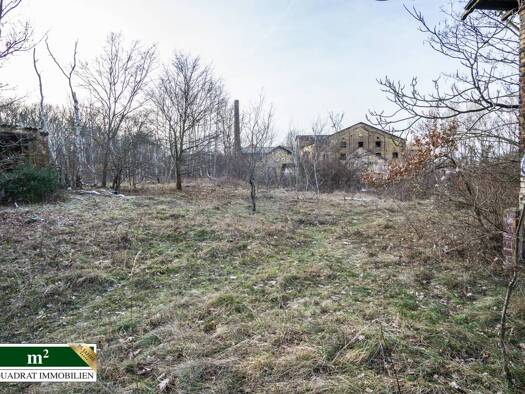 Lagerhalle zum Kauf 8.000 m² Lagerfläche Muldenstein Muldestausee/OT Muldenstein 06774