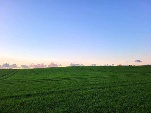 Studio zur Miete - Erstbezug 748 € 2 Zimmer 59,5 m² 2. Geschoss Distelweg 8 Tessin 18195