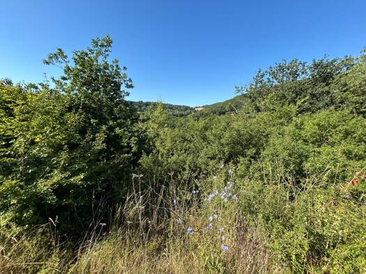 Grundstück zum Kauf 30.000 € 582 m² Grundstück Hahnenbach 55606