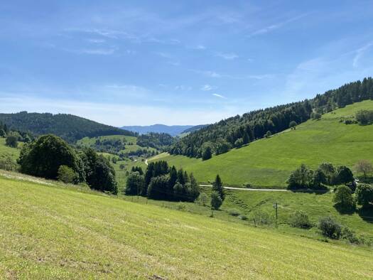 Hotel zum Kauf 799.000 € 14 Zimmer 1.087 m² Gastrofläche Neuenweg Kleines Wiesental 79692