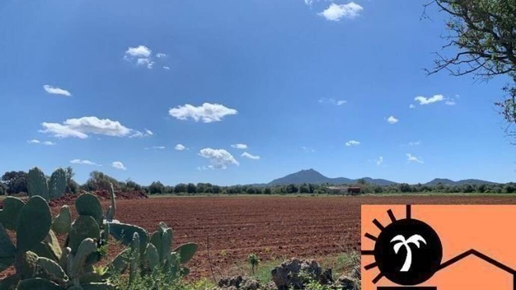 Grundstück zum Kauf provisionsfrei 345.000 € 15.816 m² Grundstück Baugenehmigung vorhanden Felanitx 07200