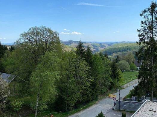 Wohnung zum Kauf 115.000 € 2 Zimmer 46 m² Winterberg 59955