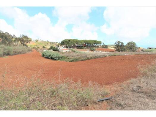 Acker-/Waldstück zum Kauf 86.420 € Santa María de Guía de Gran Canaria 35457