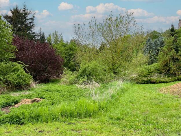Grundstück zum Kauf 26.500 € 2.500 m² Grundstück Wettin Wettin-Löbejün 06193