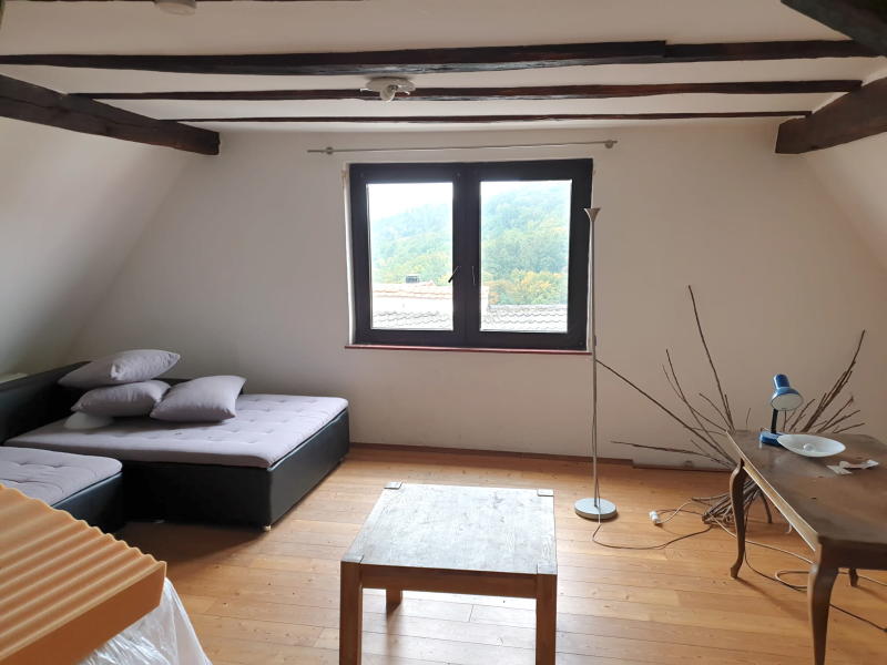 Mehrfamilienhaus zum Kauf 219.000 € 6 Zimmer 217 m²<br/>Wohnfläche 100 m²<br/>Grundstück Neuleiningen 67271