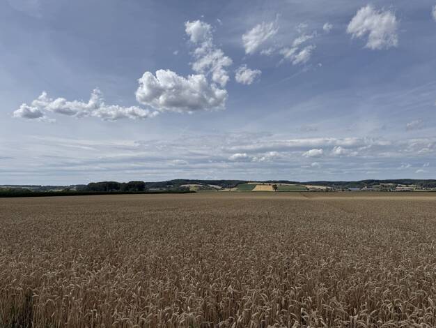 Land-/Forstwirtschaft zum Kauf 19.155 m² Grundstück Loiching Loiching