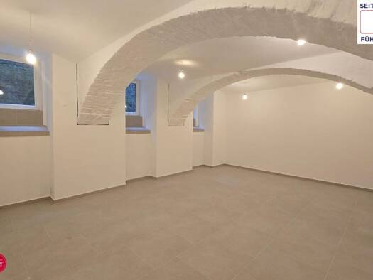 Lagerhalle zum Kauf 2.250 € 60 m² Lagerfläche Neustiftgasse Neubau 1070