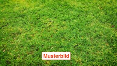 Grundstück zum Kauf 210.000 € 507 m² Grundstück Zewen Trier 54294