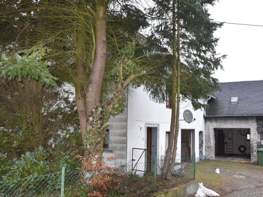 Einfamilienhaus zum Kauf 29.900 € 2 Zimmer 60 m² 321 m² Grundstück frei ab sofort Berzhahn 56459