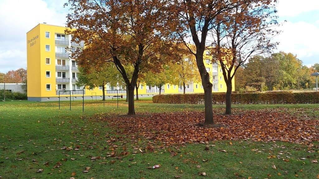 Wohnung zur Miete 513 € 4 Zimmer 82 m² 5. Geschoss frei ab 01.06.2026 Otto-von-Guericke-Straße 1 Mueßer Holz Schwerin 19063