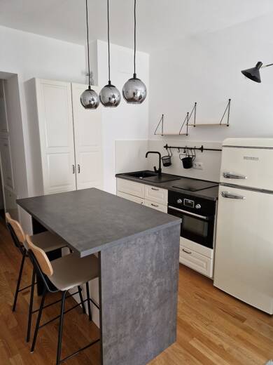 Wohnung zur Miete 310 € 1 Zimmer 33,1 m² EG Bergstraße 23 Schloßchemnitz 024 Chemnitz 09113