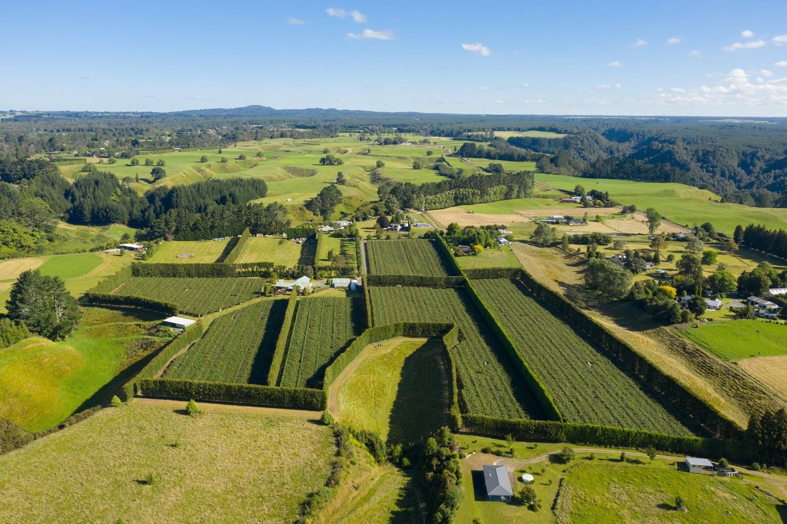 Einfamilienhaus zum Kauf 294 m²<br/>Wohnfläche 86.500 m²<br/>Grundstück 585D McLaren Falls Road  Omanawa 3171  New Zealand Omanawa 3171