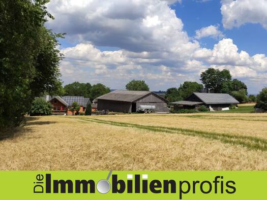 Bauernhaus zum Kauf 6 Zimmer 220 m² 9.000 m² Grundstück Föhrenreuth Konradsreuth 95176