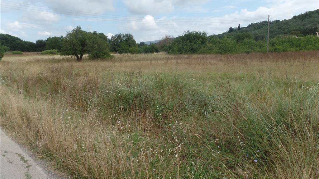 Land-/Forstwirtschaft zum Kauf 80.000 € 5.300 m² Grundstück Korfu