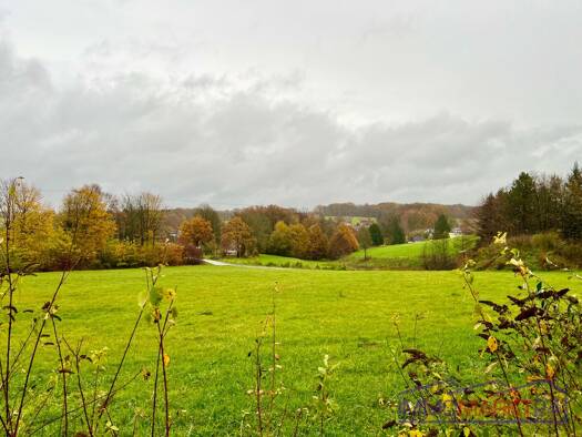 Grundstück zum Kauf provisionsfrei 220.000 € 540 m² Grundstück Birkenfeld Neunkirchen-Seelscheid 53819