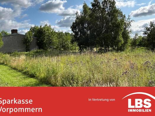 Grundstück zum Kauf provisionsfrei 90.000 € 6.838 m² Grundstück Medow 17391