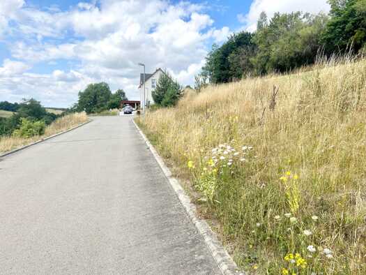 Grundstück zum Kauf 51.680 € 646 m² Grundstück Eineborn 07646