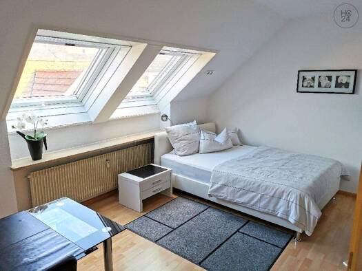Wohnung zur Miete Wohnen auf Zeit 665 € 1 Zimmer 28 m² frei ab sofort Weil am Rhein 79576