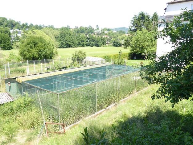 Grundstück zum Kauf 109.000 € 755 m² Grundstück Bad Salzschlirf 36364