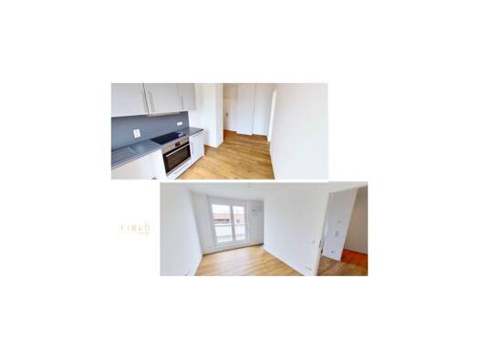 Wohnung zur Miete 893 € 1 Zimmer 45,8 m² 3. Geschoss frei ab 01.10.2026 Heinrich-Wittkamp-Straße 19 Neckarstadt Neckarstadt - Ost 68167