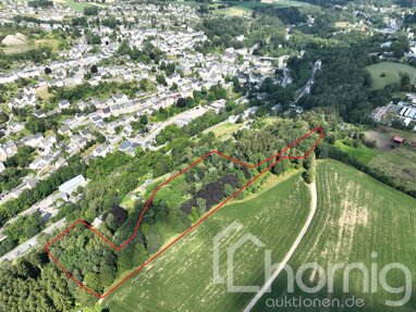 Land-/Forstwirtschaft zum Kauf 9.900 € 18.913 m² Grundstück Buchholz Annaberg-Buchholz 09456