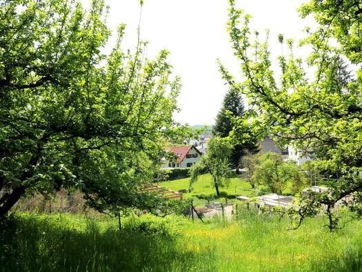 Einfamilienhaus zum Kauf 260.000 € 5,5 Zimmer 85 m² 1.378 m² Grundstück Altenstadt 89281