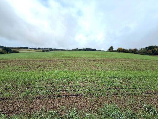 Forstwirtschaft zum Kauf 50.227 m² Grundstück Oberahrain Essenbach 84051