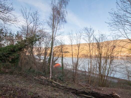 Grundstück zum Kauf 651.982 € 4.309 m² Grundstück Niederheimbach 55413