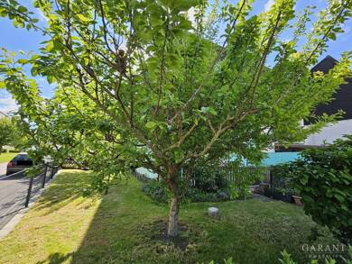 Reihenendhaus zum Kauf 339.000 € 5,5 Zimmer 120 m² 315 m² Grundstück Crailsheim Crailsheim 74564