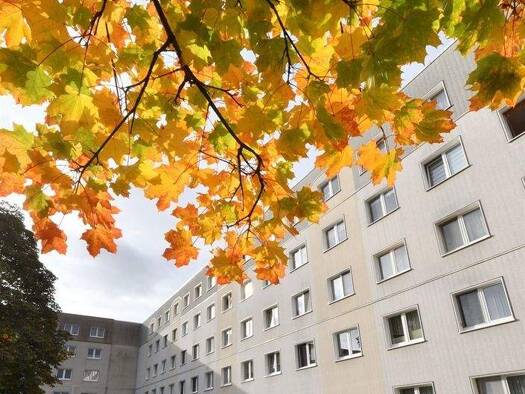 Wohnung zur Miete 348 € 3 Zimmer 57,9 m² 5. Geschoss frei ab 01.06.2026 von-Stauffenberg-Str. 5 Lugau 09385