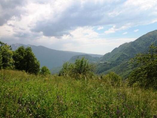 Grundstück zum Kauf 180.000 € 3.000 m² Grundstück Sermerio 25010