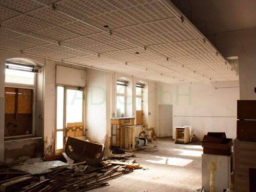 Mehrfamilienhaus zum Kauf 220.000 € 52 Zimmer 1.000 m² 650 m² Grundstück Reichenbach Reichenbach im Vogtland 08468