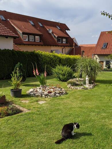 Einfamilienhaus zum Kauf 490.000 € 220 m² 798 m² Grundstück frei ab sofort Edelsfeld Edelsfeld 92265