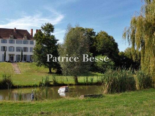 Schloss zum Kauf 1.820.000 € 20 Zimmer 2.000 m² 127.009 m² Grundstück Bourg-Tuileries-Zone Rurale Roanne 42300