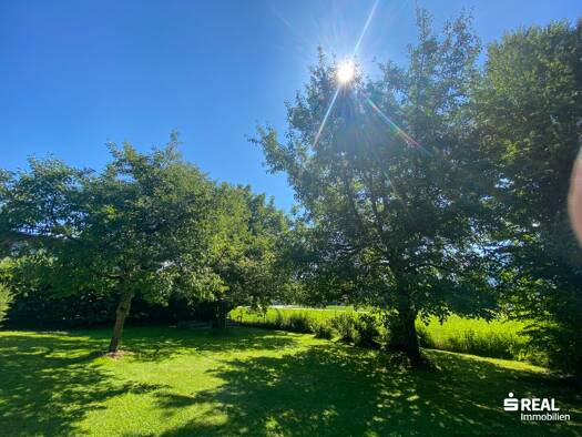 Grundstück zum Kauf 414 m² Grundstück Egelseestraße Feldkirch 6800