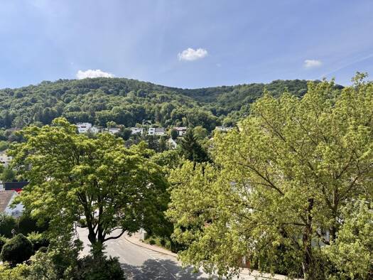 Grundstück zum Kauf 1.990.000 € 3.158 m² Grundstück Klosterneuburg 3400