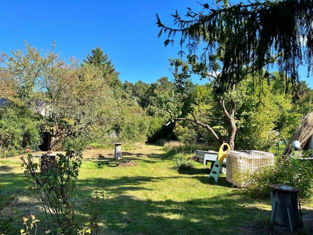 Grundstück zum Kauf 230.000 € 709 m² Grundstück Waltersdorf Schönefeld 12529