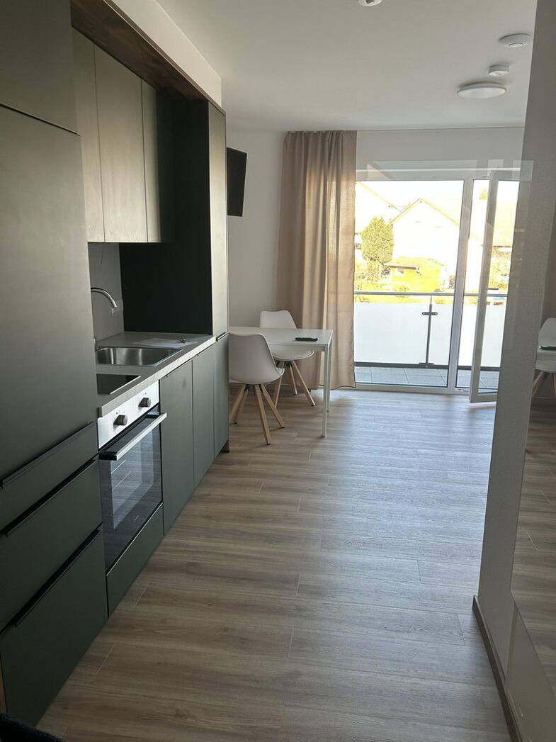 Wohnung zur Miete 650 € 1 Zimmer 28 m² 1. Geschoss frei ab 01.08.2025 Gaisbach Künzelsau 74653