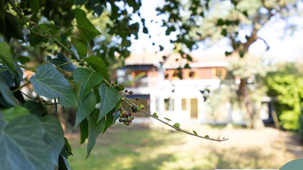 Einfamilienhaus zum Kauf 649.000 € 5 Zimmer 223,3 m² 944 m² Grundstück Ingelheim am Rhein 55218