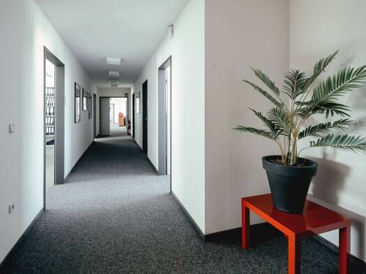 Bürofläche zur Miete 490 m² Bürofläche teilbar ab 270 m² Nord-Holland Kassel 34127