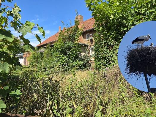 Bauernhaus zum Kauf 290.000 € 11 Zimmer 440 m² 4.992 m² Grundstück Thulendorf 18184
