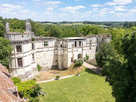 Schloss zum Kauf 480.000 € 5 Zimmer 566 m² 9.223 m² Grundstück Valençay 36600