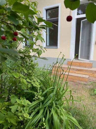 Terrassenwohnung zum Kauf provisionsfrei 315.000 € 2 Zimmer 62 m² Geschoss EG/4 Moabit Berlin 10553
