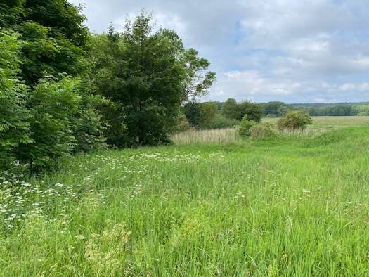 Landwirtschaftliche Fläche zum Kauf 2.500 € 3.089 m² Grundstück Neustrelitz 17235