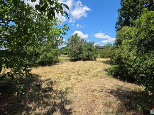 Grundstück zur Miete 850 € 800 m² Grundstück Wolkersdorf im Weinviertel 2120