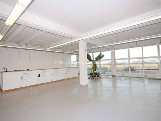 Verkaufsfläche zur Miete provisionsfrei 1 Zimmer 468 m² Verkaufsfläche Frechen 50226