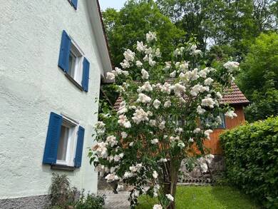 Haus zum Kauf 429.000 € 10 Zimmer 220 m² 615 m² Grundstück Lenzkirch Lenzkirch 79853