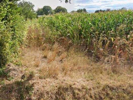 Land-/Forstwirtschaft zum Kauf 9.000 € 1.600 m² Grundstück Oststraße 69 Hengsen Holzwickede 59439