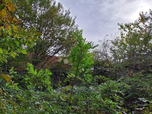 Haus zum Kauf 20.000 € 3 Zimmer 40 m² Pjescanica, Gvozd Pješčanica