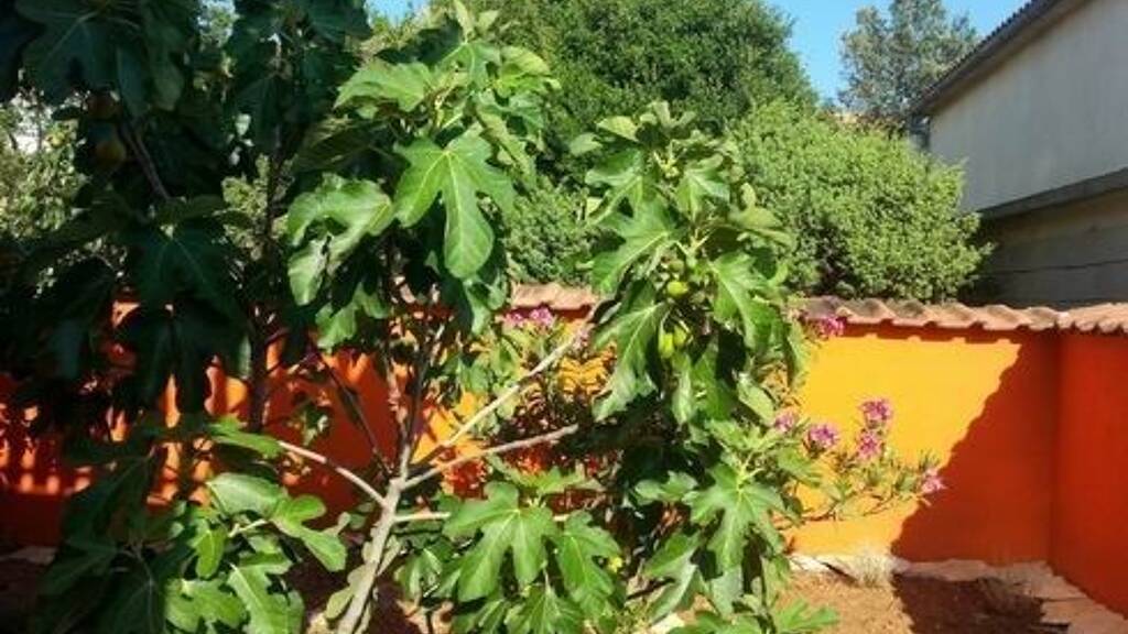 Einfamilienhaus zum Kauf 435.000 € 7 Zimmer 150 m² 303 m² Grundstück Gornji Karin 23452